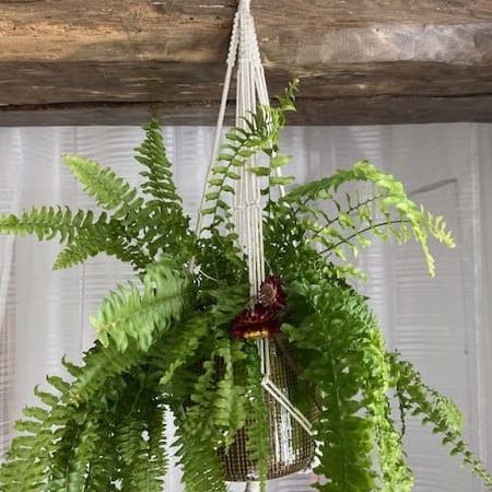 Macramé création pour plante suspendue